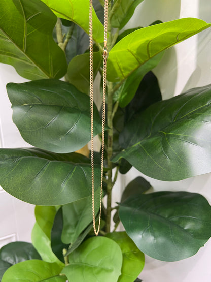 1324- NEW 10K Hollow Cuban Curb Chain Two Tone 20” (2.5mm) W.G