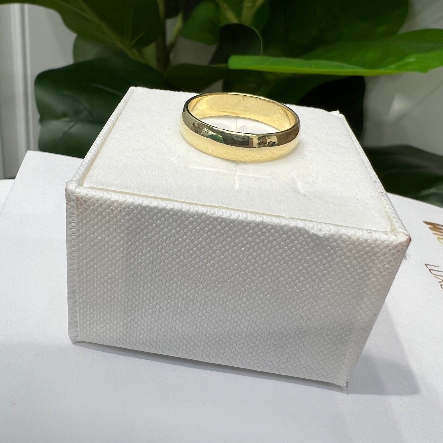 1376- NEW 10K Gold Wedding Ring Band (5mm) W.G