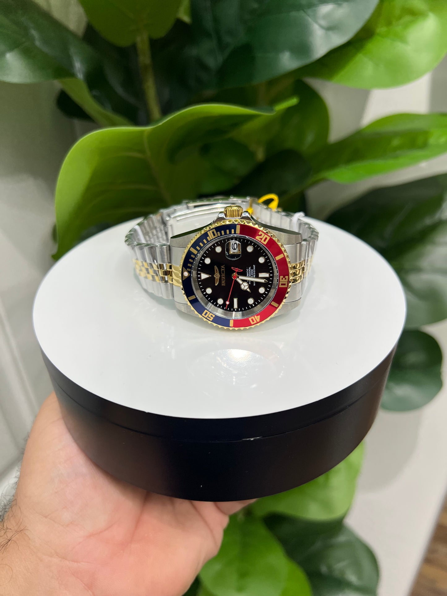 R38- Invicta Red & Blue Pro Diver Men's Watch 42mm W.G