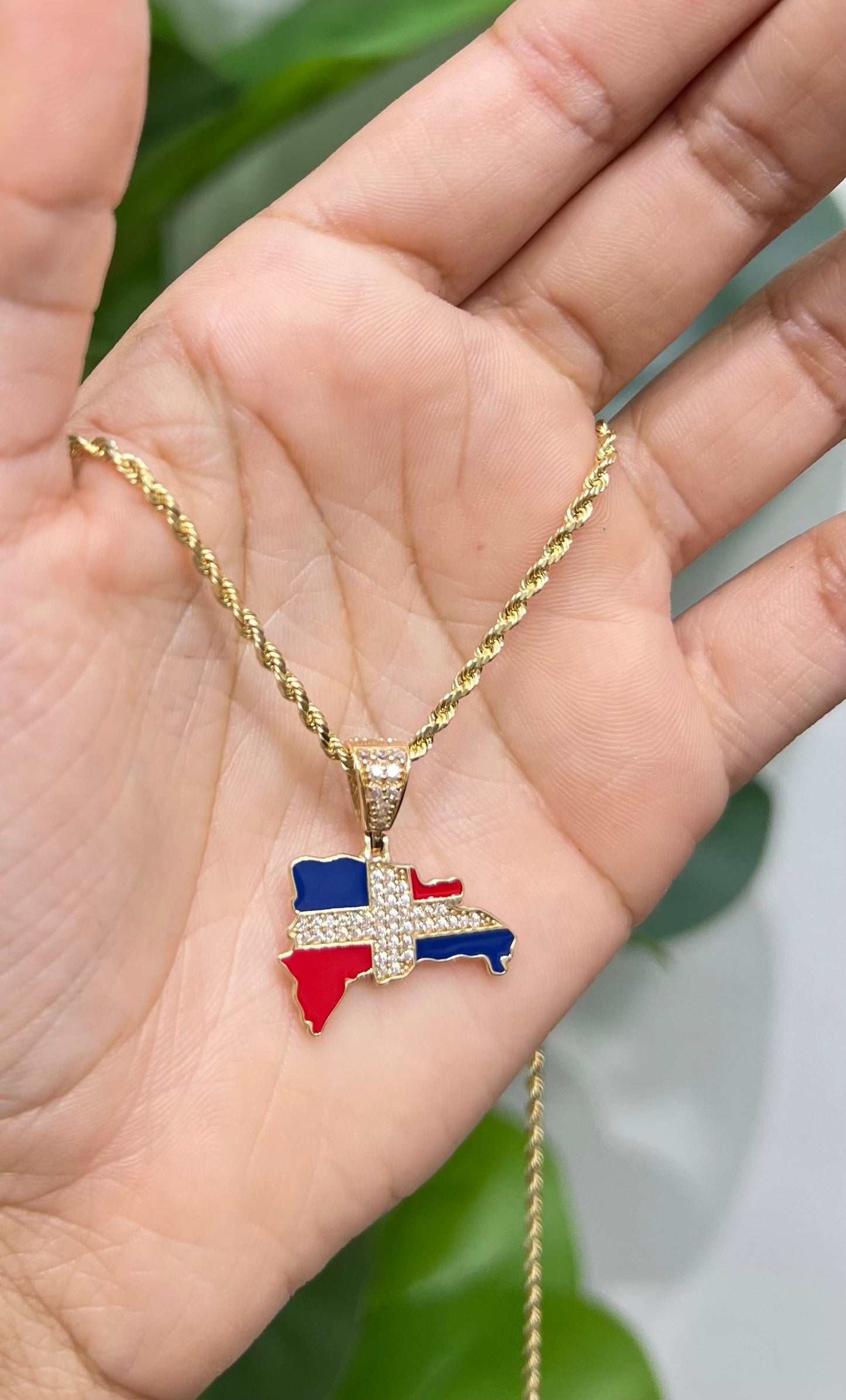 C12- NEW Semi Solid Rope Chain and Dom Rep Pendant .W.G
