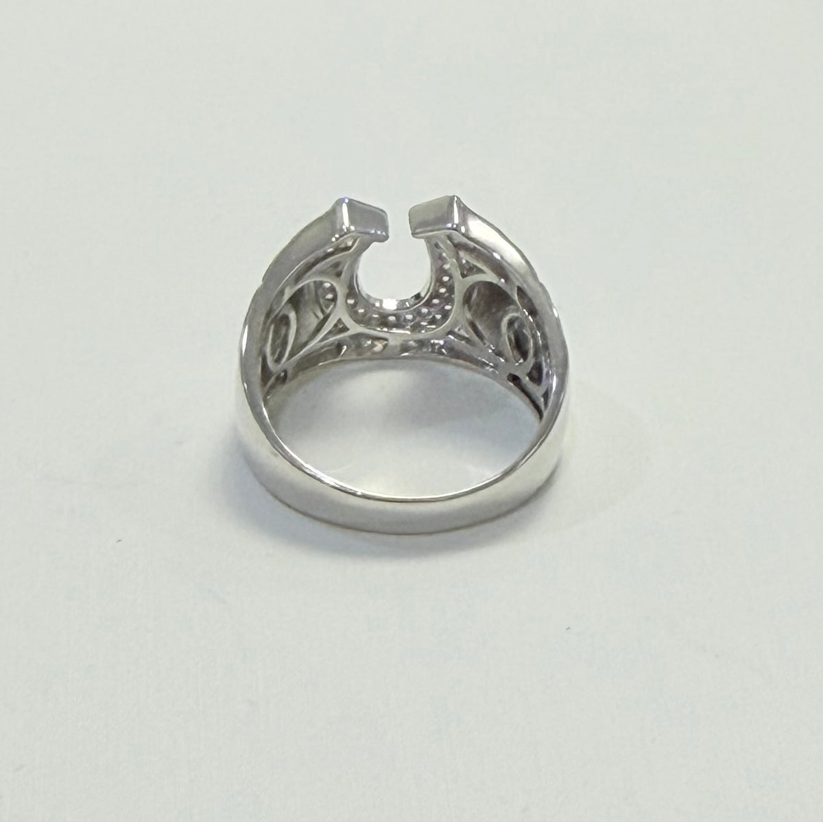 S801-NEW .925 Horseshoe Men's Ring W.G