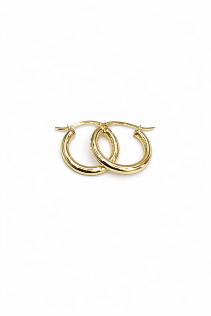 1570- NEW 10K Gold Hoop Earrings (19.7x3mm) W.G