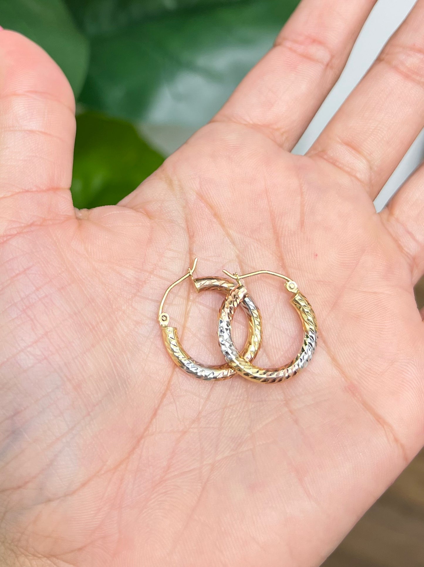 00118- NEW 14K Tri Color Hoop Earrings (3x19.60mm) W.G